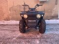 2024 Linhai ATV200, чёрный, 207000 рублей