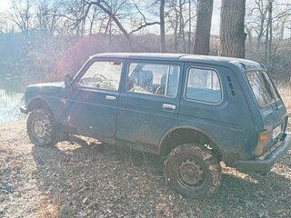 2001 Lada (ВАЗ) 2131 (4x4) I, синий, 149000 рублей, вид 4