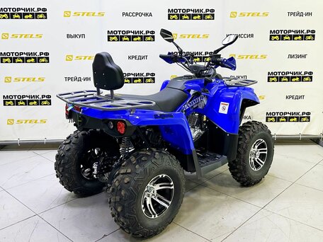 2025 Bison Hammer 250 PRO, синий, 252990 рублей, вид 4