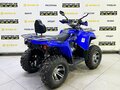 2025 Bison Hammer 250 PRO, синий - вид 3
