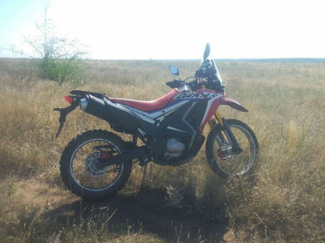 2020 Motoland Dakar, красный, 145000 рублей, вид 3