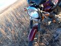 2024 Racer Alpha, красный, 75000 рублей