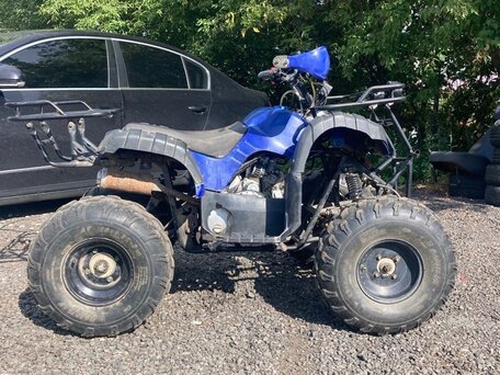 2017 Motoland ATV 125 Fox, синий, 75000 рублей, вид 5