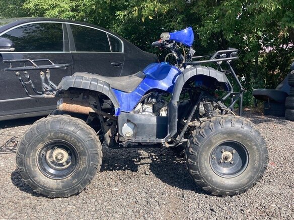 2017 Motoland ATV 125 Fox, синий, 75000 рублей - вид 4