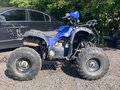 2017 Motoland ATV 125 Fox, синий, 75000 рублей - вид 4