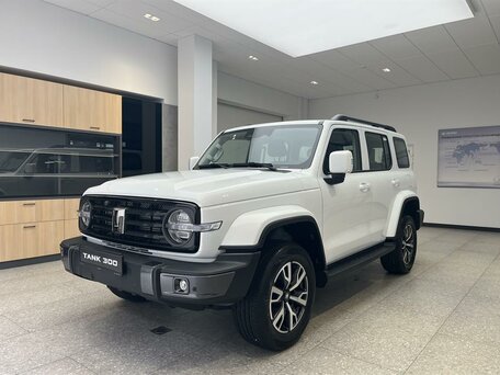 Tank 300 I