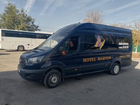 2019 Ford Transit, синий, 2800000 рублей, вид 2