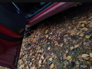 2007 Chevrolet Aveo I, красный, 200000 рублей, вид 5