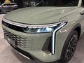 2024 Exeed RX, зелёный - вид 11