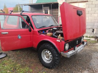 1995 Lada (ВАЗ) 2121 (4x4) I Рестайлинг, красный, 150000 рублей, вид 3