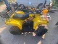 2024 Iride 200 Rover, жёлтый, 186000 рублей - вид 6