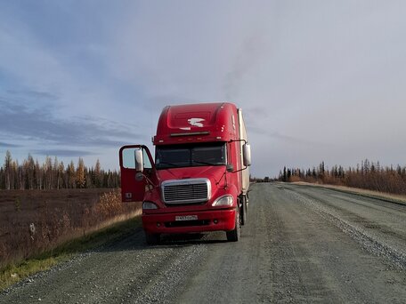 2002 Freightliner Columbia, красный, 1490000 рублей, вид 3