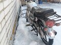 2017 Racer Alpha, серебристый - вид 1