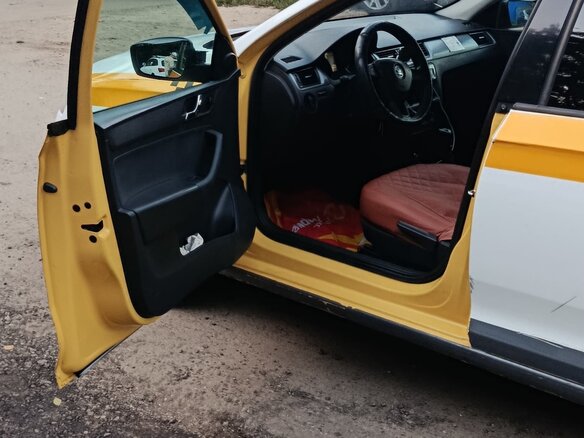 2016 Skoda Rapid I, белый, 460000 рублей - вид 21