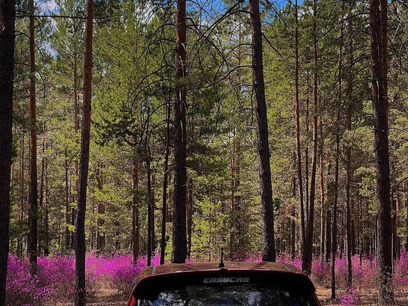 2013 Nissan Note II, красный, 880000 рублей - вид 15