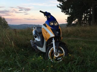 Irbis RX 50