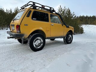 1978 Lada (ВАЗ) 2121 (4x4) I, жёлтый, 500000 рублей, вид 3