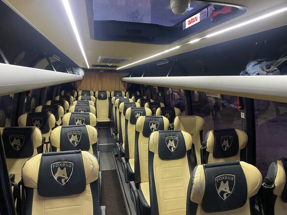 2019 Foxbus 62412, белый, 6888888 рублей - вид 8
