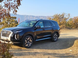 2021 Hyundai Palisade I, синий, 4333334 рублей, вид 2
