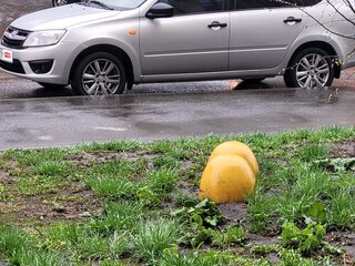2015 Lada (ВАЗ) Granta I, серебристый, 500000 рублей, вид 2