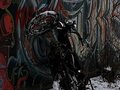 2015 Motoland Alpha, красный, 40000 рублей - вид 6