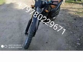 Bashan BS200