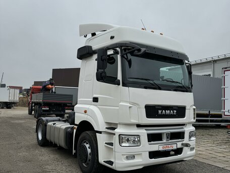 2017 КамАЗ 5490 NEO, белый, 2900000 рублей, вид 3