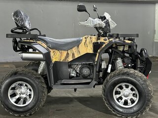 2025 Motoland Wild Track 200 X Pro, чёрный, 230000 рублей, вид 2
