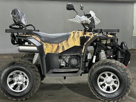 2025 Motoland Wild Track 200 X Pro, чёрный, 230000 рублей, вид 2