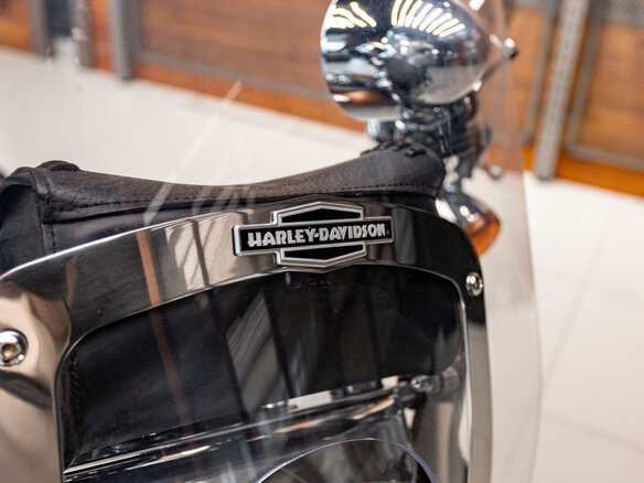 2008 Harley-Davidson Fat Boy, золотистый, 1300000 рублей - вид 27