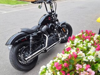 2021 Harley-Davidson Sportster 1200, чёрный, 1150000 рублей, вид 3