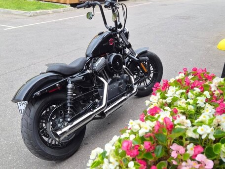2021 Harley-Davidson Sportster 1200, чёрный, 1150000 рублей, вид 3
