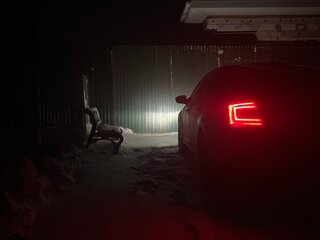 2016 Skoda Octavia III (A7), белый, 950000 рублей, вид 1