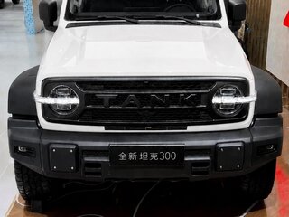 2026 Tank 300 L I Рестайлинг 2, белый, 6000000 рублей, вид 1
