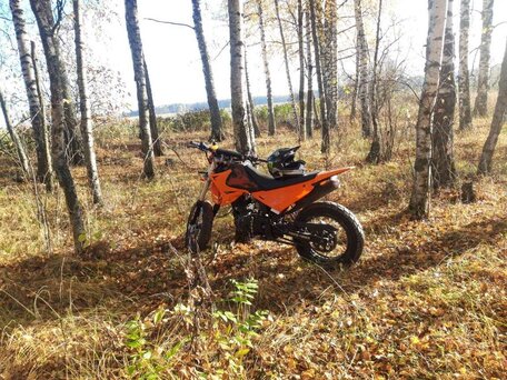 2008 Baltmotors Motard 200, оранжевый, 80000 рублей, вид 1