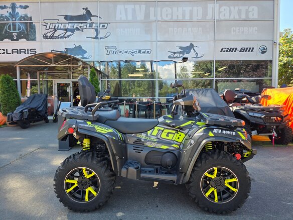 2023 TGB Blade 600, чёрный - вид 13