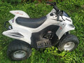 2007 Kawasaki KFX 50, белый, 175000 рублей - вид 2