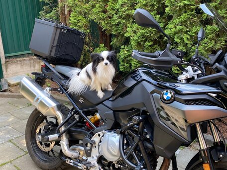 2022 BMW F 750 GS, чёрный, 1200000 рублей, вид 1