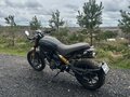 2021 Ducati Scrambler 1100, чёрный, 1650000 рублей - вид 2
