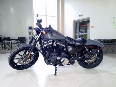 2022 Harley-Davidson Sportster 883, серый, 830000 рублей, вид 2