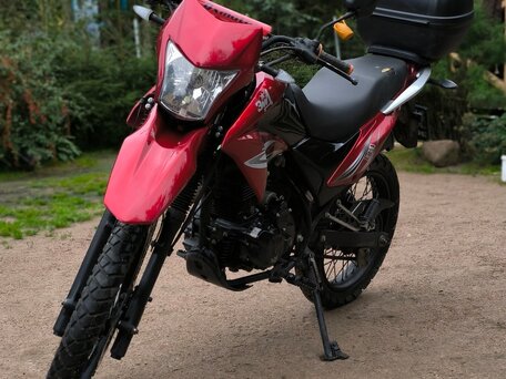 2019 ЗиД YX250GY-C5C, красный, 100000 рублей, вид 4