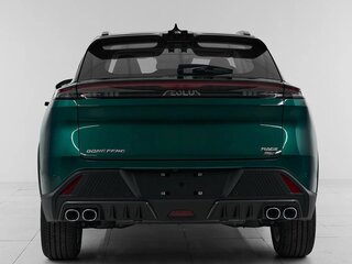 2024 Dongfeng Mage, зелёный, 2330000 рублей, вид 5