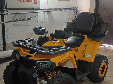 2023 Motoland ATV 200 MAX, жёлтый, 230000 рублей, вид 3
