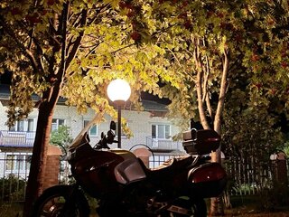 2002 Honda XL1000V Varadero, серебристый, 399999 рублей, вид 4