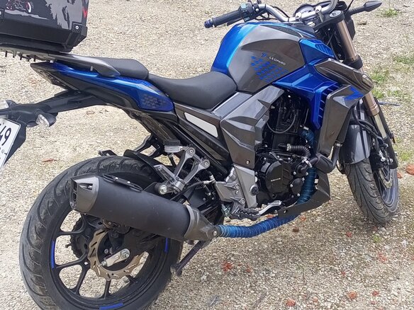 2022 Regulmoto T-Leopard 300, синий, 390000 рублей - вид 2