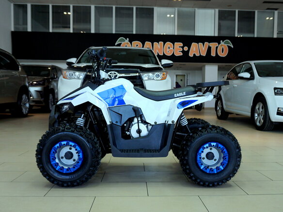 2021 Motoland ATV 110 Eagle, белый - вид 1