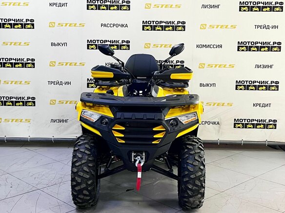 2025 Tao Motor Titan 300, жёлтый, 449000 рублей - вид 7