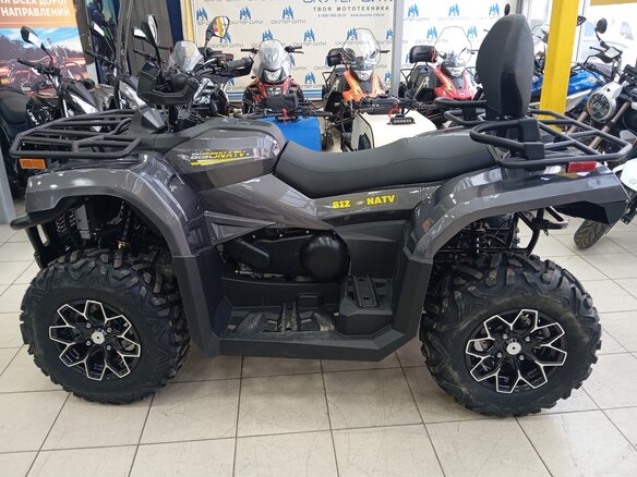 2026 Bison YK450A, серый, 659000 рублей - вид 1
