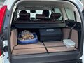 2024 Haval H9 I Рестайлинг, белый - вид 10