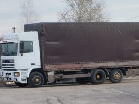 1995 DAF XF 95, белый, 1300000 рублей, вид 5